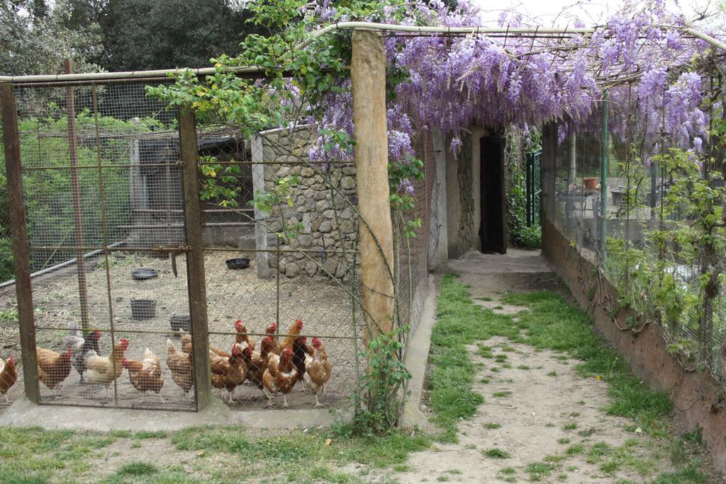 Maison d'hôtes Mas Duran à La Pera Extérieur photo